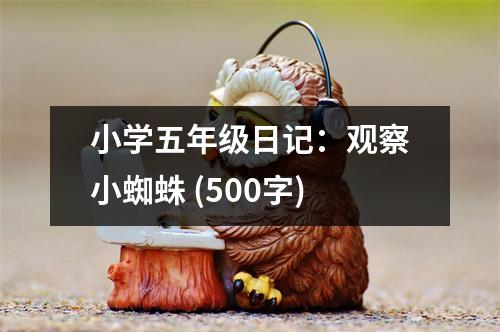 小學(xué)五年級日記：觀察小蜘蛛 (500字)