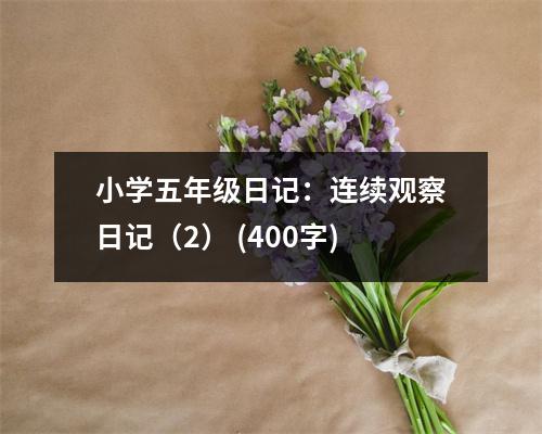 小學(xué)五年級(jí)日記：連續(xù)觀察日記（2） (400字)