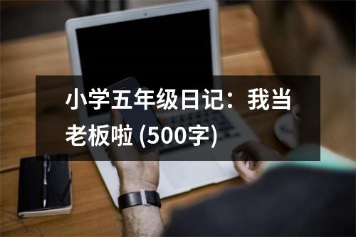 小學(xué)五年級(jí)日記：我當(dāng)老板啦 (500字)
