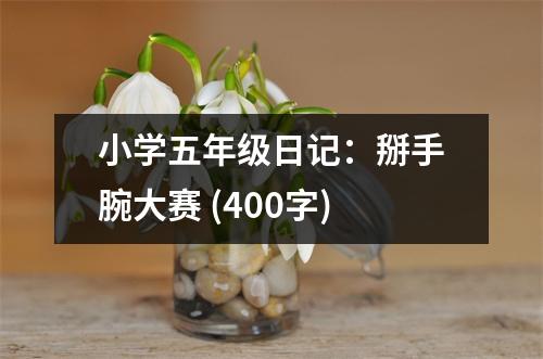 小學五年級日記：掰手腕大賽 (400字)