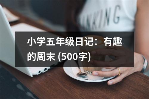 小學五年級日記：有趣的周末 (500字)