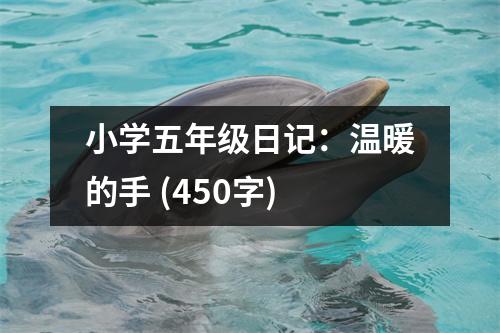 小學(xué)五年級(jí)日記：溫暖的手 (450字)