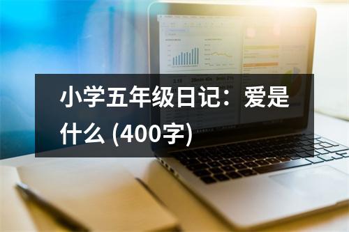 小學五年級日記：愛是什么 (400字)