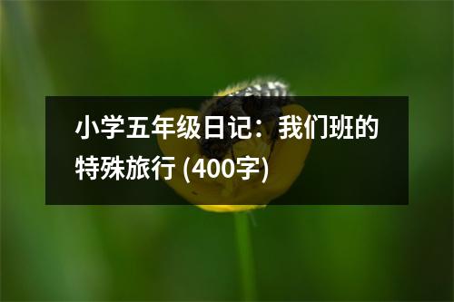 小學五年級日記：我們班的特殊旅行 (400字)