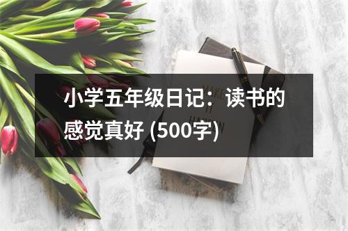 小學(xué)五年級(jí)日記：讀書(shū)的感覺(jué)真好 (500字)