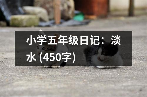 小學(xué)五年級(jí)日記：淡水 (450字)