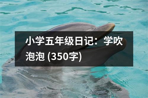 小學(xué)五年級日記：學(xué)吹泡泡 (350字)