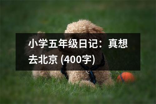 小學(xué)五年級日記：真想去北京 (400字)