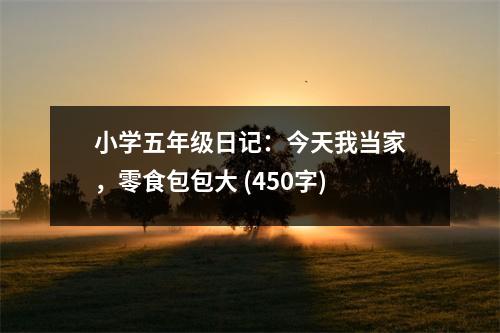 小學(xué)五年級(jí)日記：今天我當(dāng)家，零食包包大 (450字)