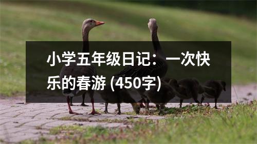 小學(xué)五年級(jí)日記：一次快樂的春游 (450字)