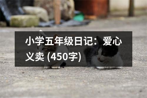 小學(xué)五年級(jí)日記：愛(ài)心義賣(mài) (450字)