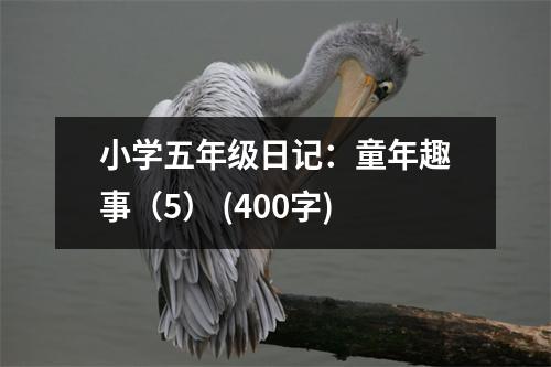 小學(xué)五年級日記：童年趣事（5） (400字)