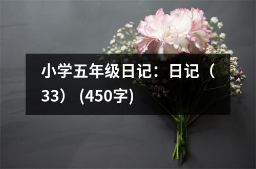 小學(xué)五年級(jí)日記：日記（33） (450字)