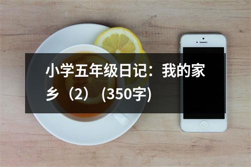小學(xué)五年級日記：我的家鄉(xiāng)（2） (350字)