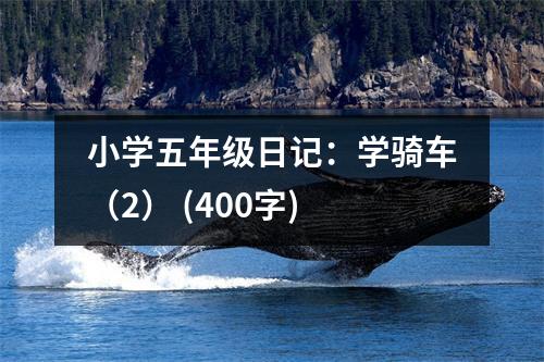小學(xué)五年級(jí)日記：學(xué)騎車（2） (400字)