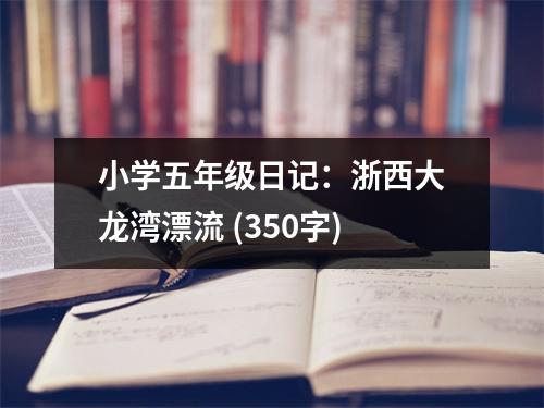 小學(xué)五年級日記：浙西大龍灣漂流 (350字)