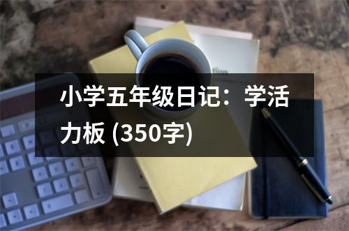 小學(xué)五年級日記：學(xué)活力板 (350字)