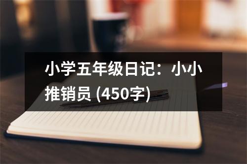 小學(xué)五年級日記：小小推銷員 (450字)