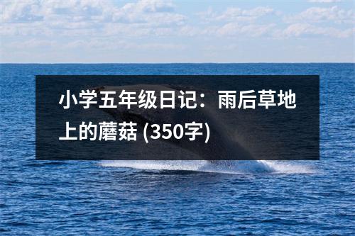 小學(xué)五年級(jí)日記：雨后草地上的蘑菇 (350字)
