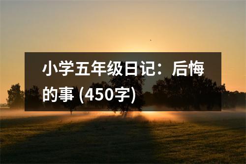 小學(xué)五年級日記：后悔的事 (450字)