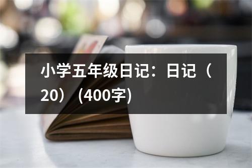 小學五年級日記：日記（20） (400字)