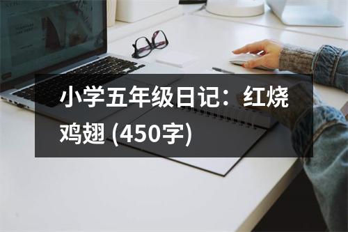 小學五年級日記：紅燒雞翅 (450字)