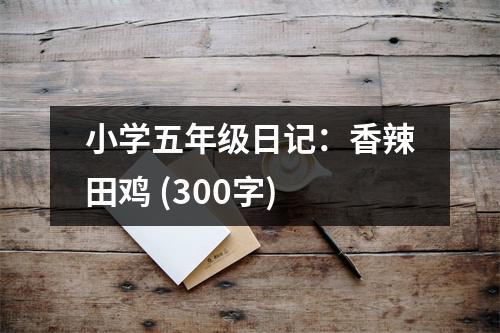 小學(xué)五年級日記：香辣田雞 (300字)