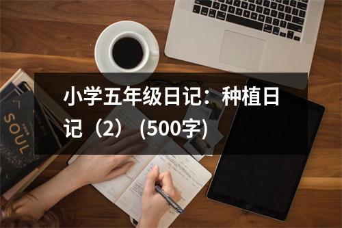 小學(xué)五年級(jí)日記：種植日記（2） (500字)