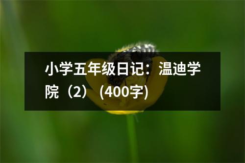 小學五年級日記：溫迪學院（2） (400字)