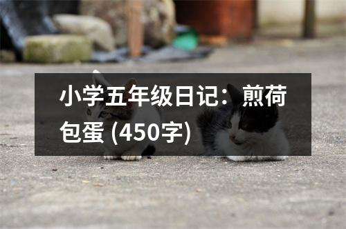小學(xué)五年級日記：煎荷包蛋 (450字)