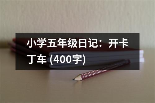 小學(xué)五年級(jí)日記：開卡丁車 (400字)