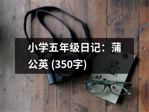 小學(xué)五年級(jí)日記：蒲公英 (350字)