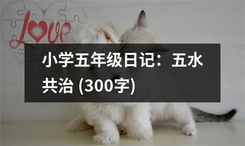 小學(xué)五年級(jí)日記：五水共治 (300字)