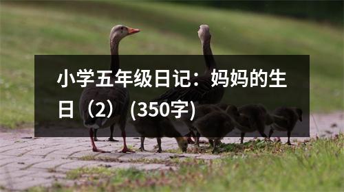 小學(xué)五年級日記：媽媽的生日（2） (350字)