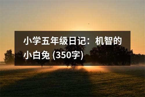 小學(xué)五年級日記：機(jī)智的小白兔 (350字)