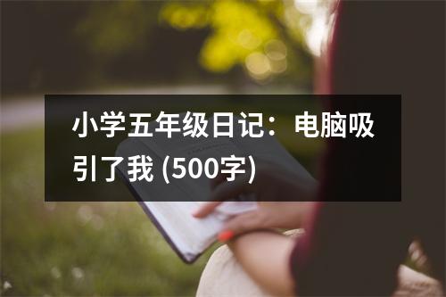 小學(xué)五年級(jí)日記：電腦吸引了我 (500字)