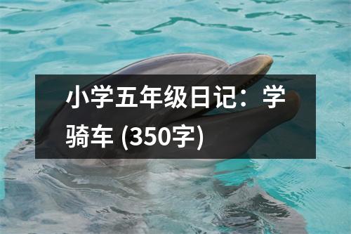 小學(xué)五年級日記：學(xué)騎車 (350字)