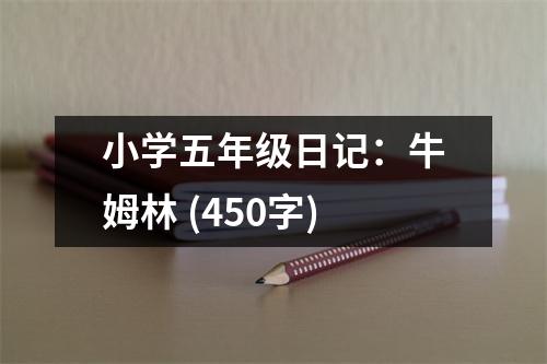 小學(xué)五年級(jí)日記：牛姆林 (450字)