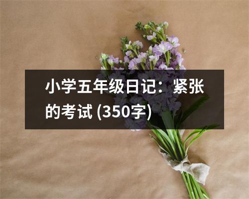 小學(xué)五年級(jí)日記：緊張的考試 (350字)