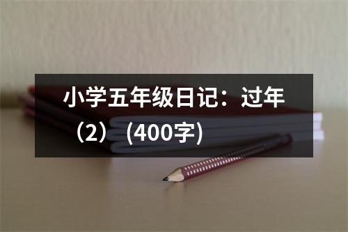 小學(xué)五年級(jí)日記：過(guò)年（2） (400字)