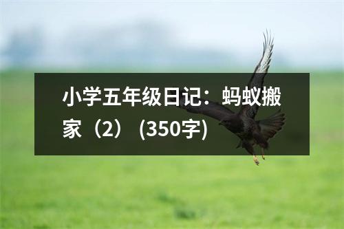 小學五年級日記：螞蟻搬家（2） (350字)