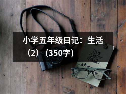 小學(xué)五年級日記：生活（2） (350字)