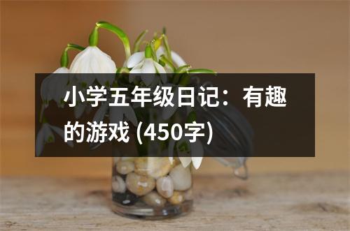 小學(xué)五年級日記：有趣的游戲 (450字)