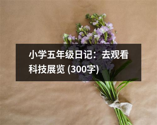 小學(xué)五年級日記：去觀看科技展覽 (300字)