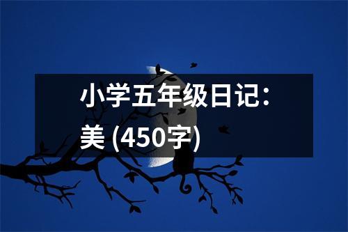 小學(xué)五年級(jí)日記：美 (450字)
