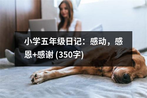 小學(xué)五年級(jí)日記：感動(dòng)，感恩+感謝 (350字)