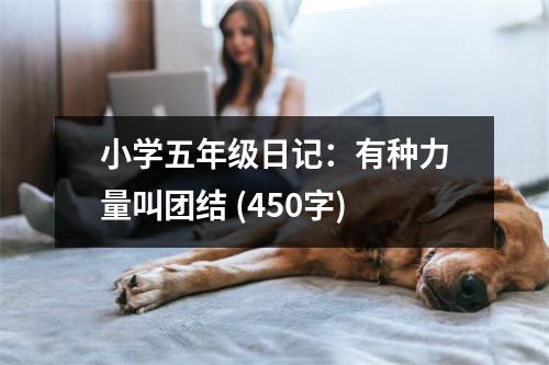 小學(xué)五年級日記：有種力量叫團(tuán)結(jié) (450字)