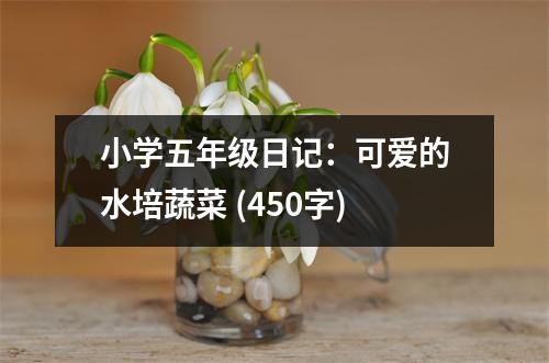 小學(xué)五年級日記：可愛的水培蔬菜 (450字)