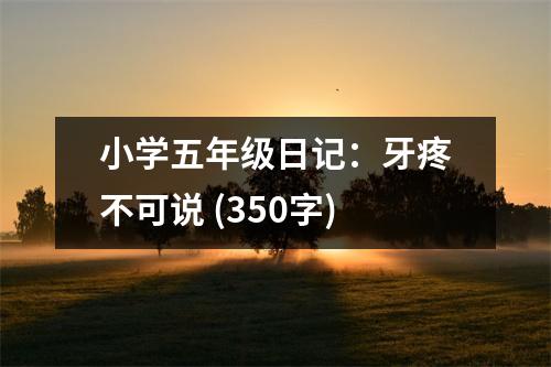 小學(xué)五年級日記：牙疼不可說 (350字)