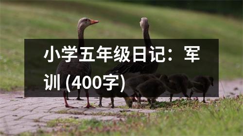 小學(xué)五年級日記：軍訓(xùn) (400字)